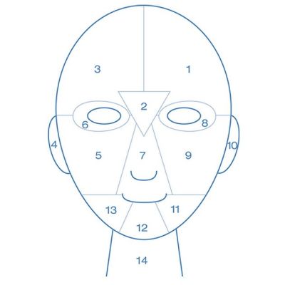 Dermalogica Face Mapping